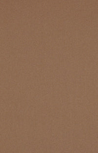 Color: Camel